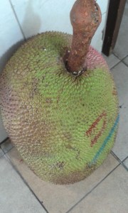 A giant Jackfruit resting in the bustling, bright and  fragrant Tekka Market in Little India. 