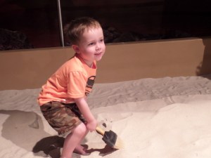 Digging for fossils at Discovery Center's "Titan's of the Past" exhibit. It was really a test in public transport ... blue line, purple line, green line, bus!