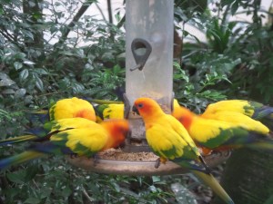 SAMSUNG CAMERA PICTURES