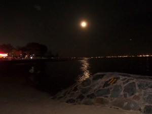 SAMSUNG CAMERA PICTURES