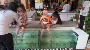 Fish spa in Phuket