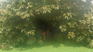 A little steamy after a quick rainstorm