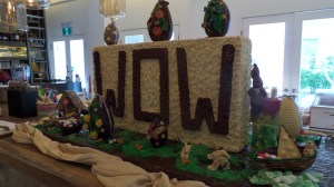 SAMSUNG CAMERA PICTURES