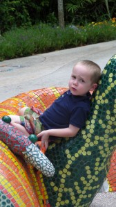 SAMSUNG CAMERA PICTURES