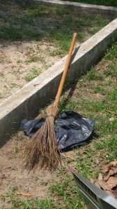 SAMSUNG CAMERA PICTURES