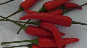 SAMSUNG CAMERA PICTURES