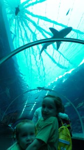 SAMSUNG CAMERA PICTURES