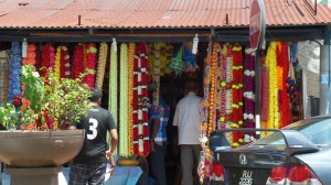 SAMSUNG CAMERA PICTURES