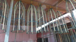 SAMSUNG CAMERA PICTURES