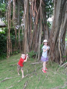 SAMSUNG CAMERA PICTURES