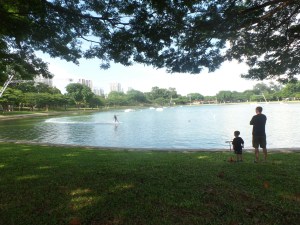 SAMSUNG CAMERA PICTURES