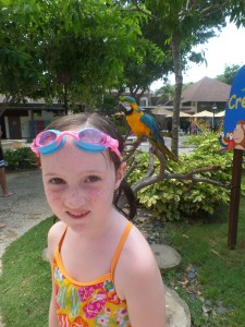 SAMSUNG CAMERA PICTURES