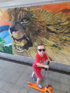 SAMSUNG CAMERA PICTURES